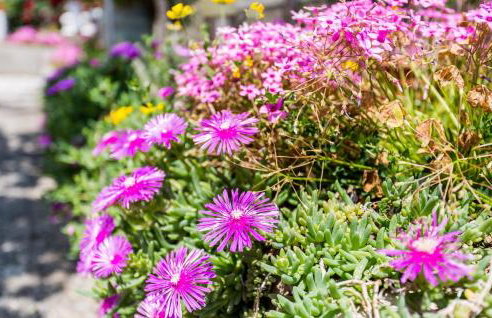 Apartman Gržetić - Foto 59