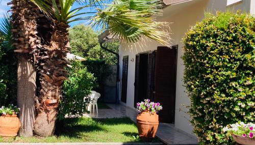 Residence le Pinete RTA - Foto 3, Garden, Garden view