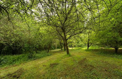 Gite Petite Chaumière-La Corne d'Or - Foto 19