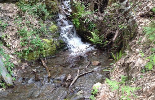 El Mirador de los Trobos - Foto 27