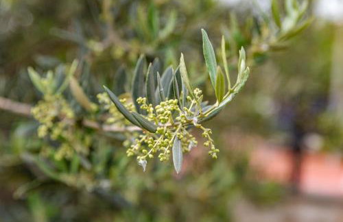 KrinesGReece - Foto 26