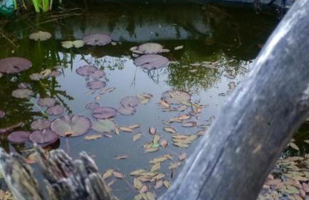 Planinska kuća Dasović - Foto 23