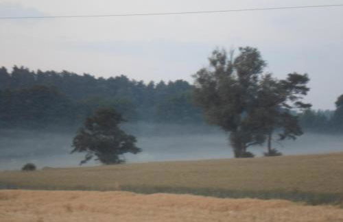 Ferienhof Meyer - Foto 69