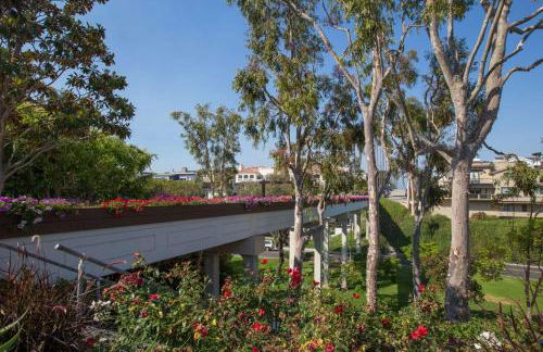 416 Dahlia - Foto 40