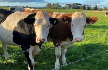 Courtyard Cottage - Photo 3