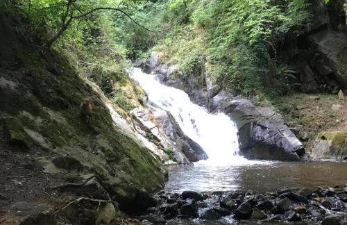 Cozy Garden Retreat Malemort - Foto 31