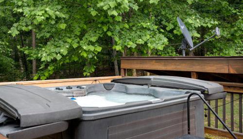 Shenandoah dog friendly cabin - river access, BBQ, outdoor dining and lounging, fire pit, AWD or 4WD encouraged - Foto 3