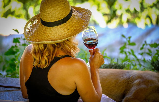 Casa do Rio Wine Hotel - Vallado - Foto 28