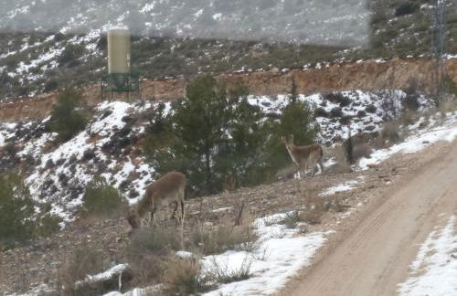 Molino del Machero - Foto 48