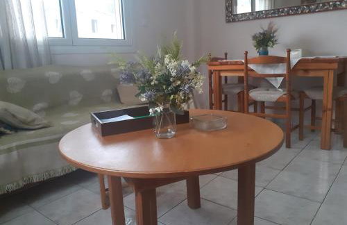 Vagelis 2 Nemea apartments - Foto 17