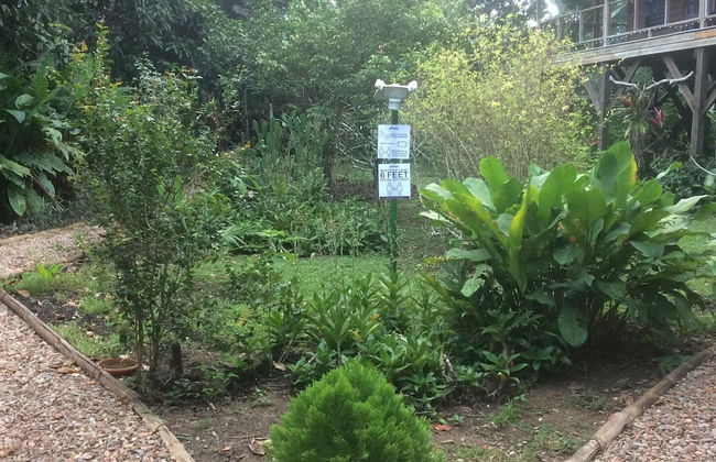 Treetop 'jungle Like' Escape in San Ignacio Your Belize Oasis Awaits! - Foto 18