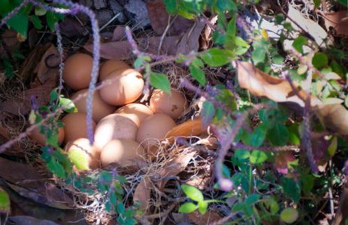 La casa de La Cartita - Foto 19