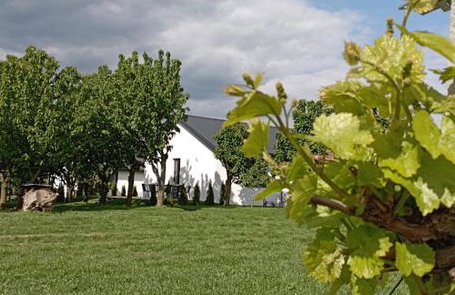 Domki w Winnicy - Świętokrzyska Winnica Knapów - Foto 31