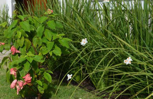 Residencial Portinari LTDA - Foto 46