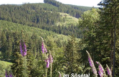 Gästehaus Bündge - Foto 10