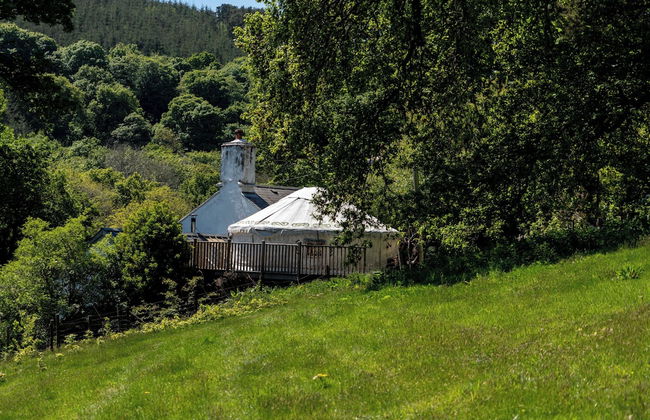 Hapus Yurt - Two Beautiful Yurts and Barn Cottage - Foto 48