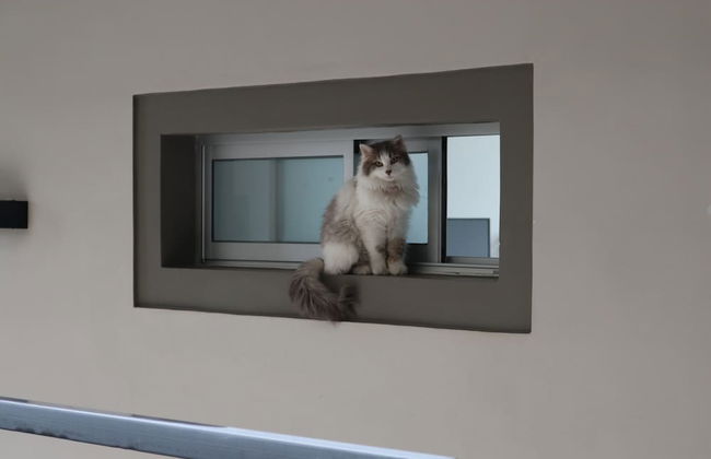 Start Villa Morra Rent Apartments - Photo 78