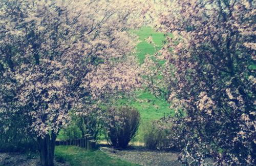 Ferienwohnung Auenland - Photo 34