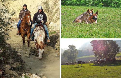 Masseria Straziuso - La Vaccariccia - Foto 39