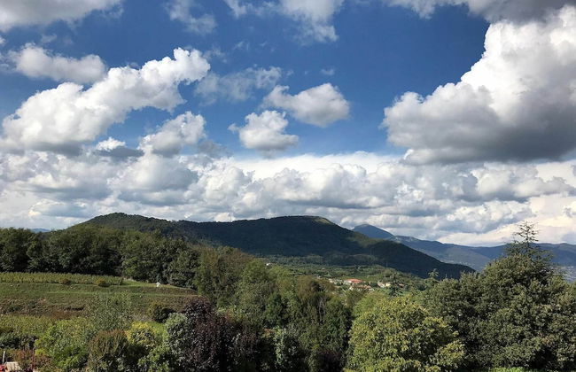 Apartment in Iseo With Swimming Pool - Photo 38