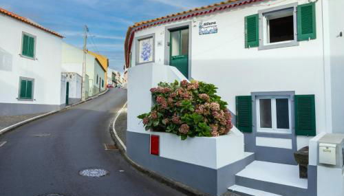 Milena Guest House - Photo 3