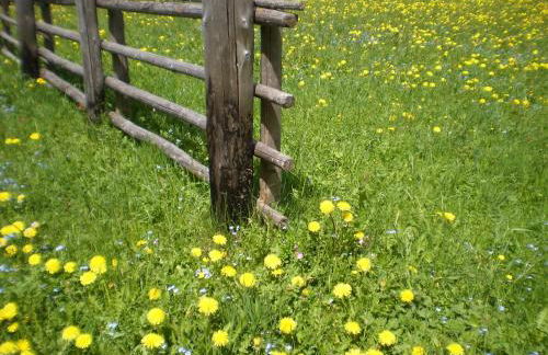 Almhaus Pfister OHG - Foto 65