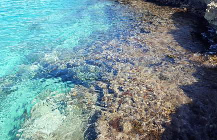 Villa Aurora - Foto 50