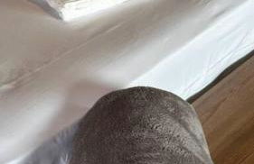 Cabanas da Mata - Cabana Flamboyant - Casa Branca - Foto 57