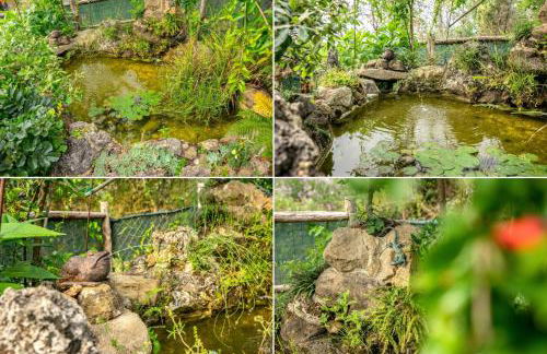 Country House Villa Nigro - Foto 99