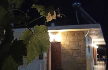 Μπαλκόνι του Αιγαίου father's house in Kimi - Photo 51