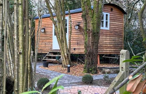 Tranquil Spot Shepherds Hut - Foto 5