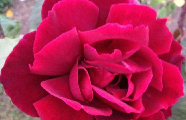 Augusta Escape - Foto 14