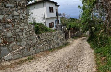 Katafigio Home in Tsagkarada Village - Foto 41