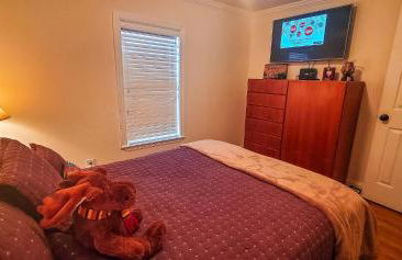 Cabin Fever - Foto 20