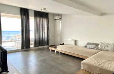 Aristotelia Gi - Panorama - Photo 8