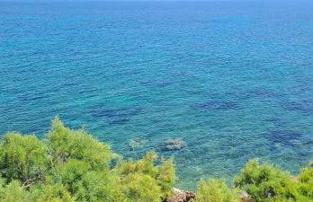 Dinas Inn - Photo 55