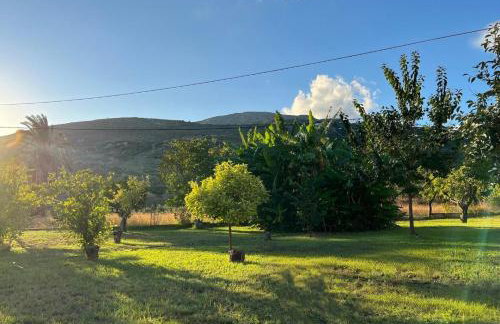 Anabelis studios & apartments - Foto 76