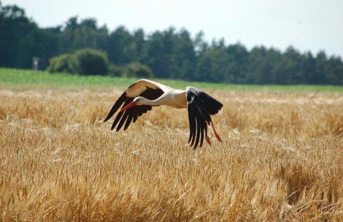 Ferienwohnung Kühl - Foto 22