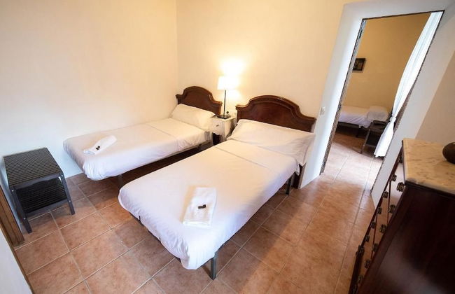 Mas Vedruna - Photo 3