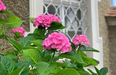 Schloss Hürbel Storchennest-Appartement - Luxury Apartment THE Stork Nest - Foto 31