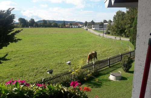Gästehaus Reisacher - Ferienwohnung mit Frühstück - Foto 20