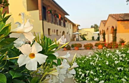 Punta dei Lecci - Foto 20