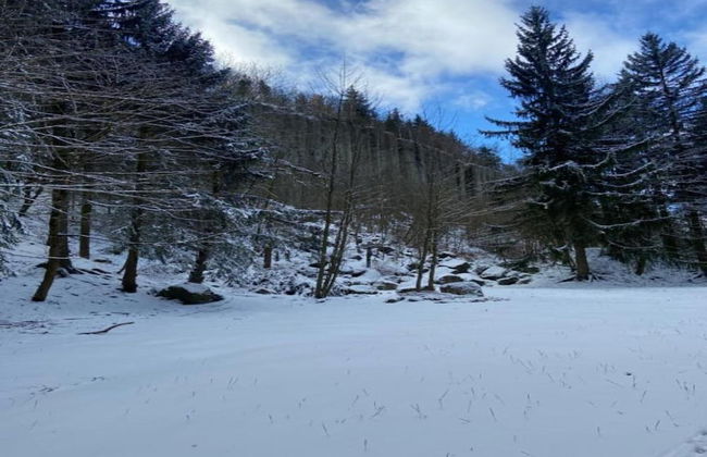 Apartment in Saxony With Terrace - Foto 31