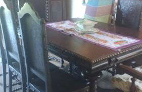 Vale das Estrelas - vale das videiras - araras - Foto 42