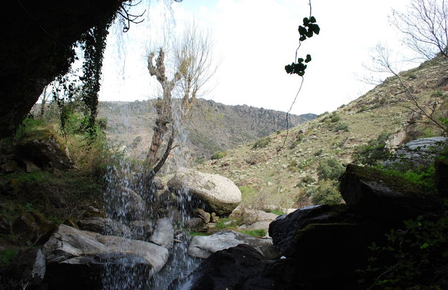 La Plazuela - Photo 25