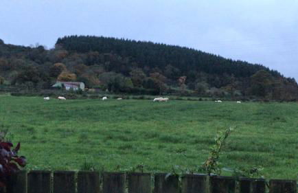 The Loft at 522 - Foto 20