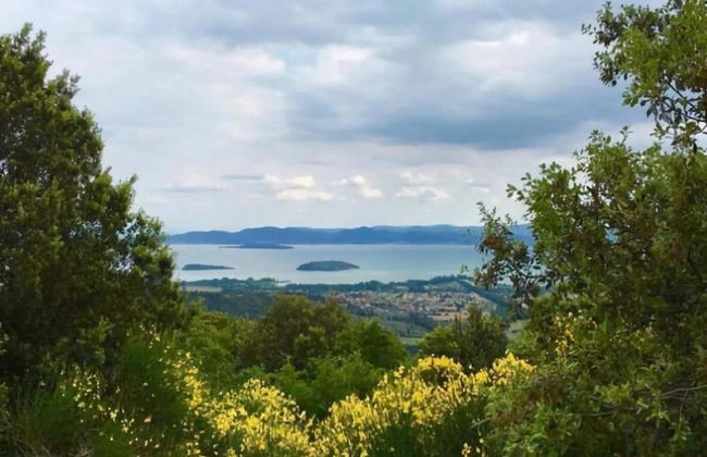 Apartment in Tuoro Near Lago Trasimeno - Foto 31