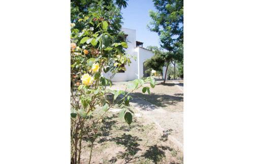 Maria's house 2 - Foto 19