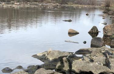 villa bleu marine chic calme et jardin - Foto 38