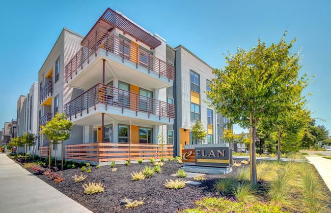 Elan Menlo - Foto 24